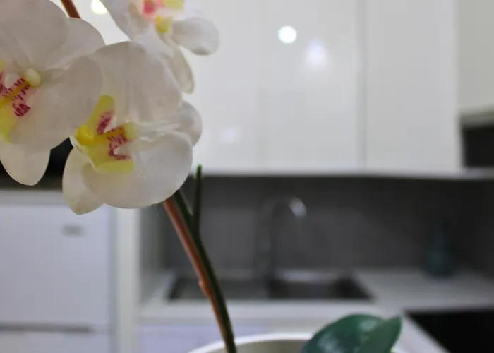 Markethome Mareverde *