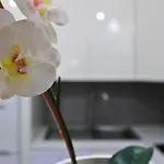 Markethome Mareverde *